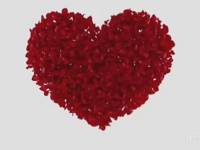 &iexcl;Feliz D&iacute;a del Ni&ntilde;o!