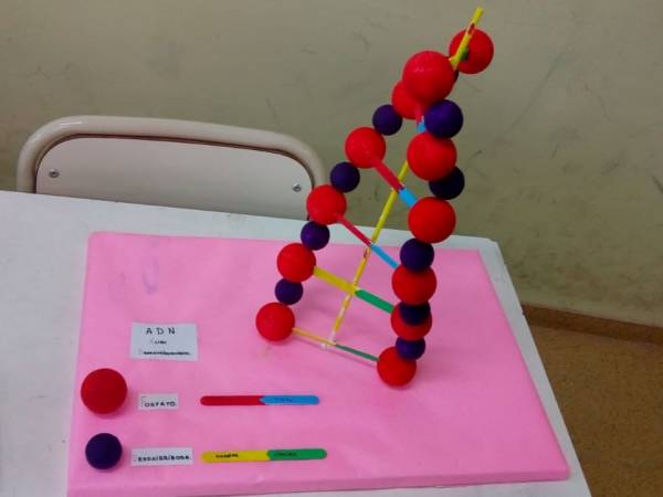 Dise&ntilde;o y ADN