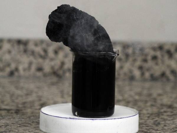 Premio de fotografía